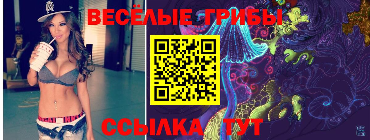 купить наркотики цена  Псилоцибиновые грибы ЛСД  Вход с VPN  Усть-Кут 
